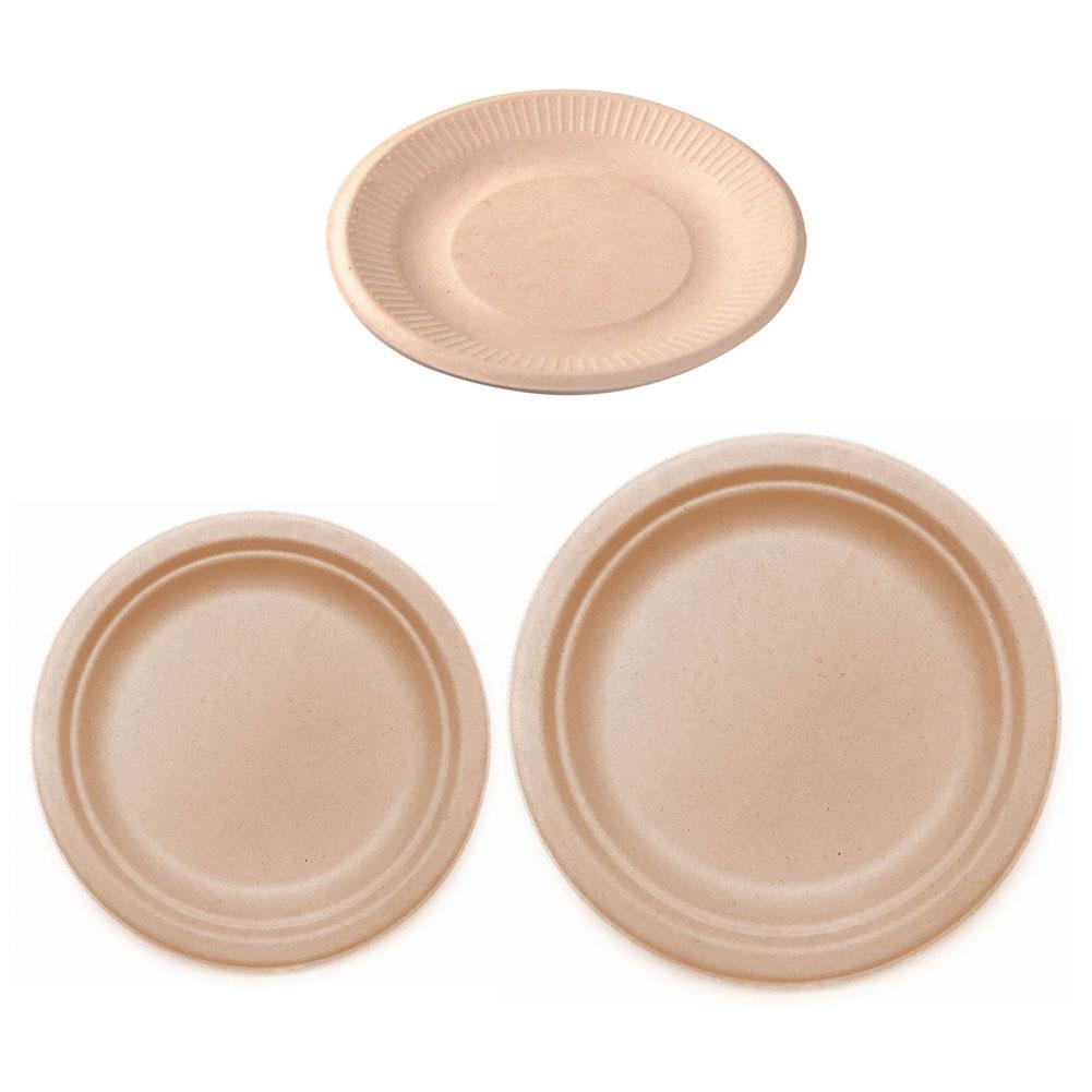 Environmentally Friendly Disposable Plates